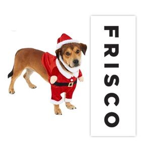 Frisco Front Walking Santa Dog & Cat Costume